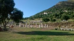 11908246_1127683753925998_1938382256_n